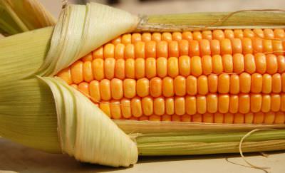 Yemek Yaparken İşinize Çok Yarayacak Öneriler