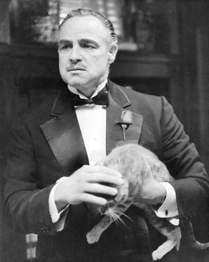 Kitabına on basan filmler