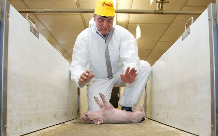 2012 dünya fotoğrafları