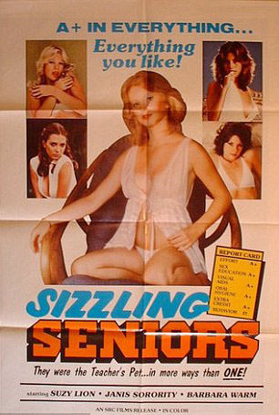 50, 60 ve 70’lerin +18 film afişleri