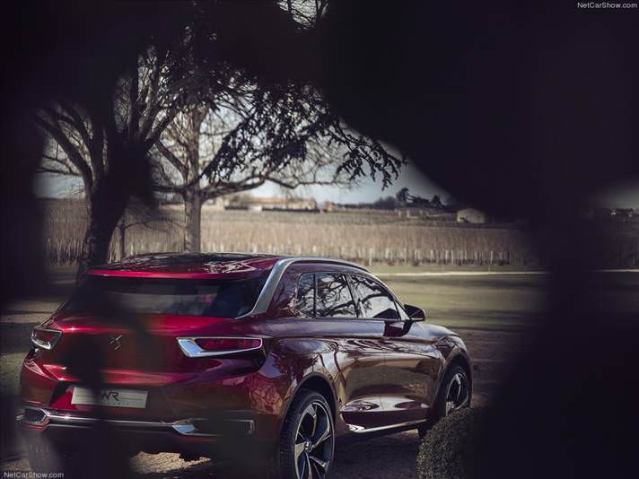 VDS serisinin yeni mücevheri: Wild Rubis