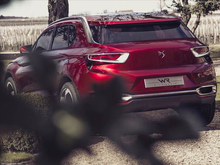 VDS serisinin yeni mücevheri: Wild Rubis