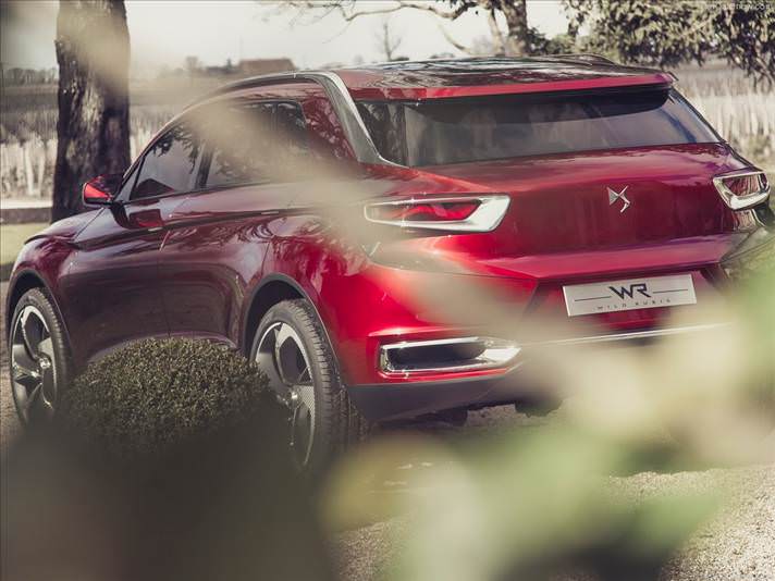 VDS serisinin yeni mücevheri: Wild Rubis