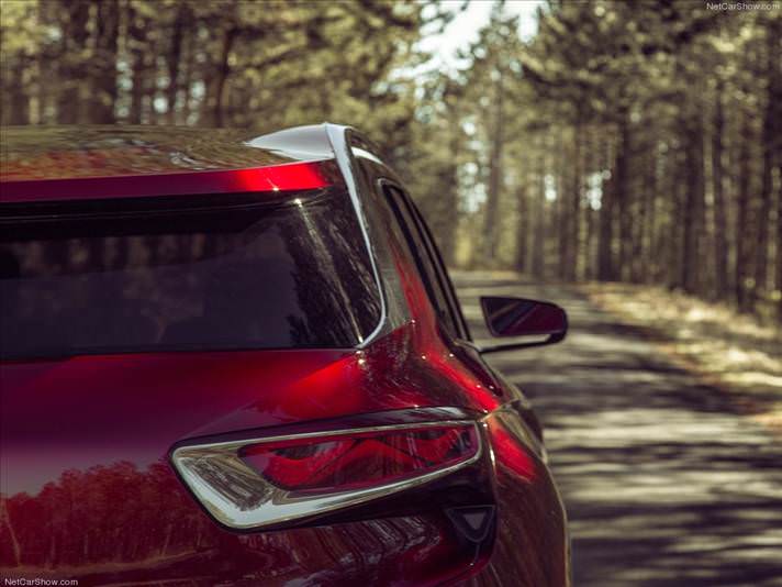 VDS serisinin yeni mücevheri: Wild Rubis