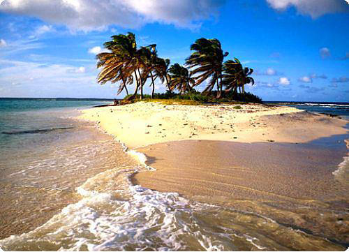 Ölüme meydan okuyan insanlar