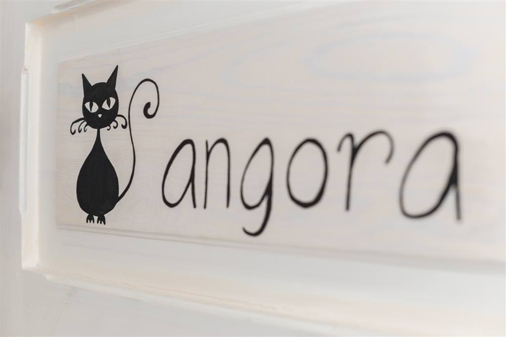 Alaçatı’da Bir Güzel Butik Otel : Kedili Ev