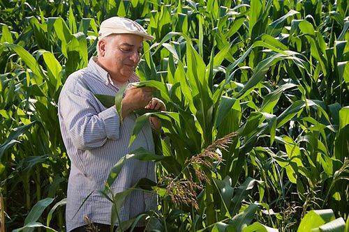 Hangi ünlü hangi takımı tutuyor?