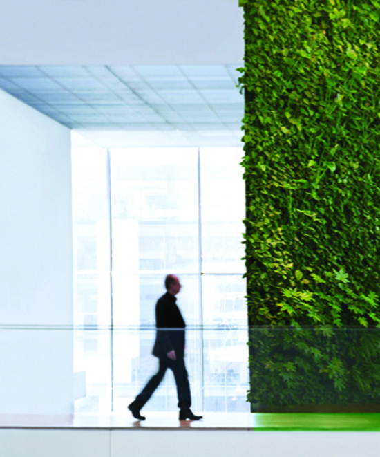 Geleceğin meslekleri