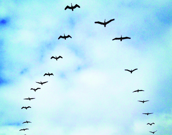 Geleceğin meslekleri