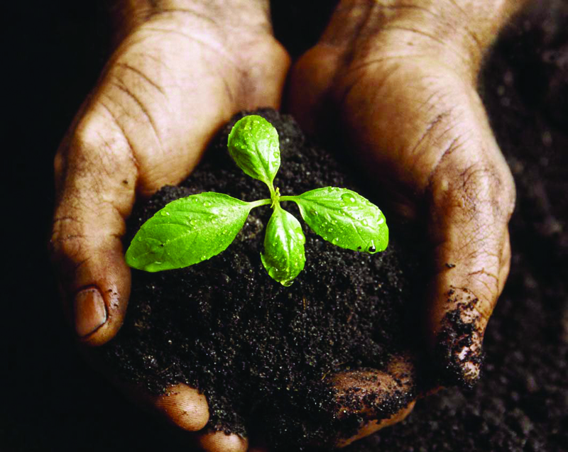 Geleceğin meslekleri