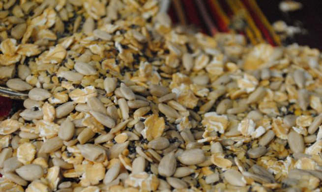 Diş beyazlatan ürünler