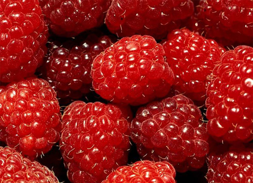 En iyi 10 Antioksidan yiyecekler