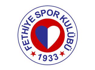 Türkiye'den Dünya Kupası'na gidecek futbolcular