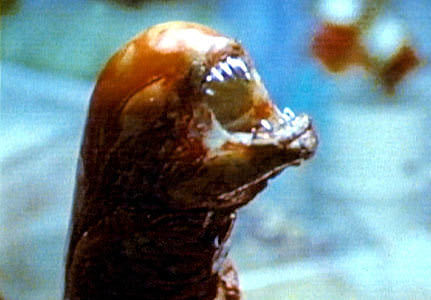 En iyi film sahneleri