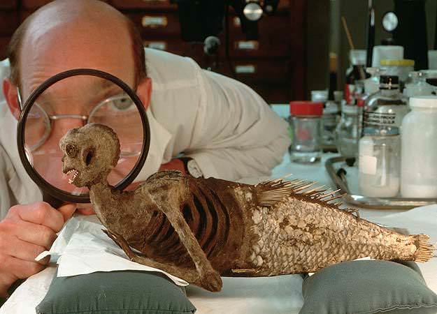 Gerçek sanılan yalanlar