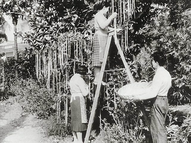 Gerçek sanılan yalanlar