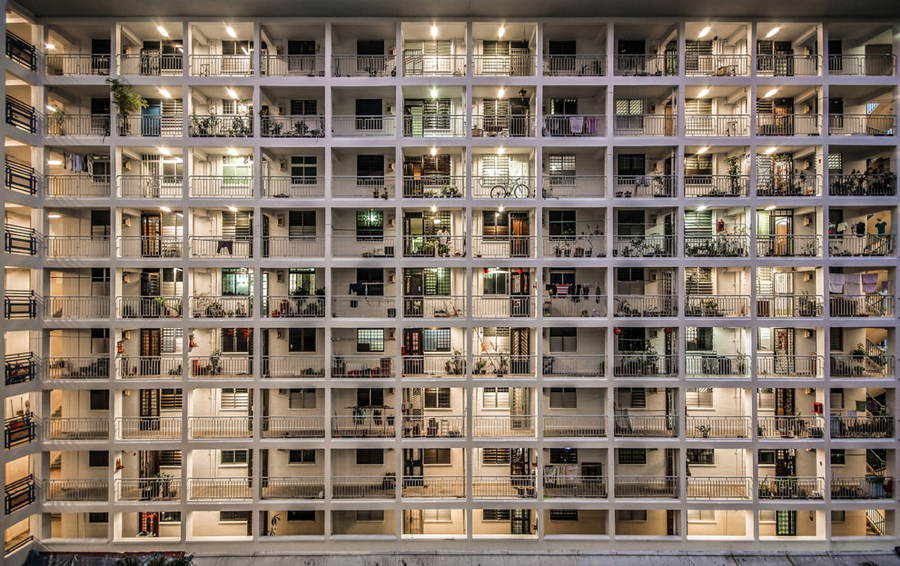 Dünyanın en iyi fotoğarfları seçildi