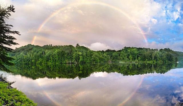 Google'da en çok tıklanan 50 fotoğraf