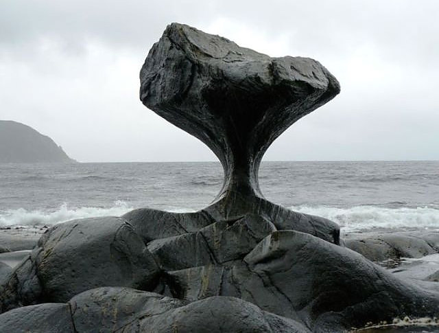 Google'da en çok tıklanan 50 fotoğraf