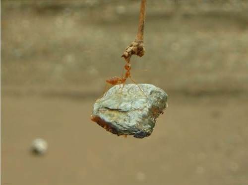 İnanılmaz fotoğraf kareleri