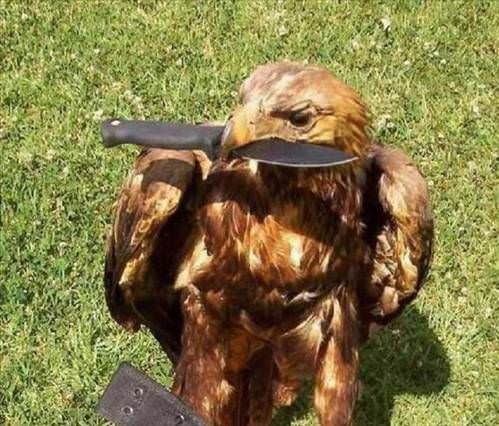 İnanılmaz fotoğraf kareleri