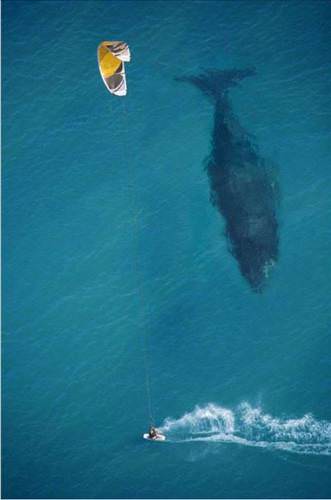 İnanılmaz fotoğraf kareleri