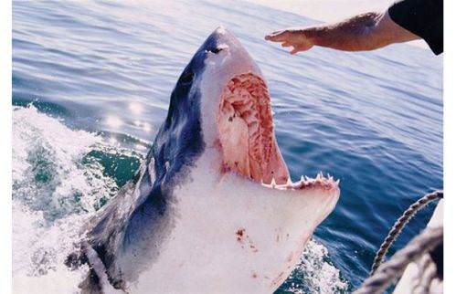 İnanılmaz fotoğraf kareleri