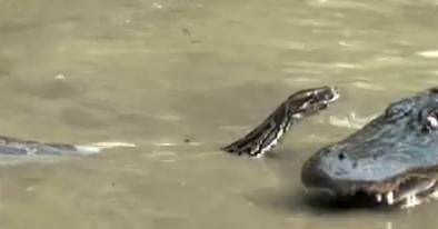 İnanılmaz fotoğraf kareleri