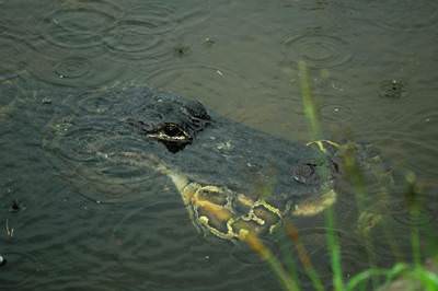 İnanılmaz fotoğraf kareleri