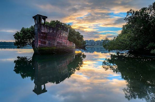 Google'da en çok tıklanan 50 fotoğraf