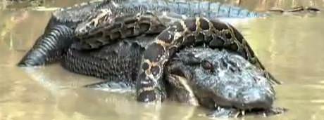 İnanılmaz fotoğraf kareleri