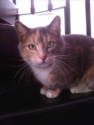 İnanılmaz fotoğraf kareleri