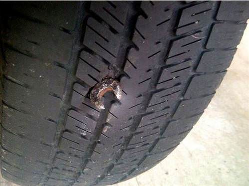 İnanılmaz fotoğraf kareleri