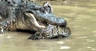 İnanılmaz fotoğraf kareleri