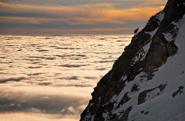 Google'da en çok tıklanan 50 fotoğraf