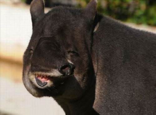 İnanılmaz fotoğraf kareleri