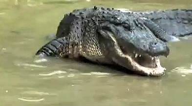 İnanılmaz fotoğraf kareleri