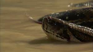 İnanılmaz fotoğraf kareleri