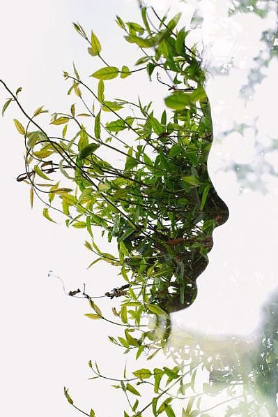 Google'da en çok tıklanan 50 fotoğraf