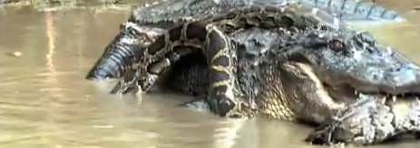 İnanılmaz fotoğraf kareleri