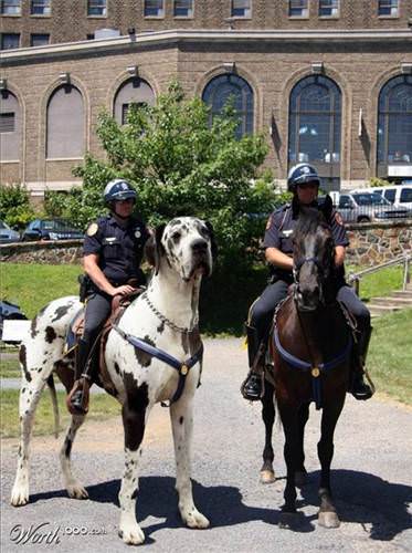 İnanılmaz fotoğraf kareleri