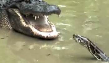 İnanılmaz fotoğraf kareleri