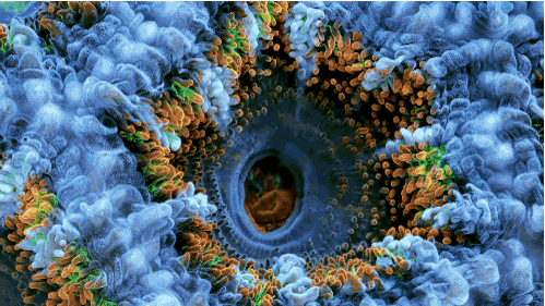 Su altının nefes kesen güzelliği