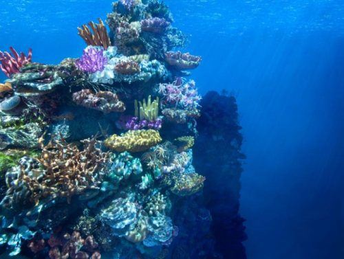 Özel efektlerin aldatmacasına tanık olun