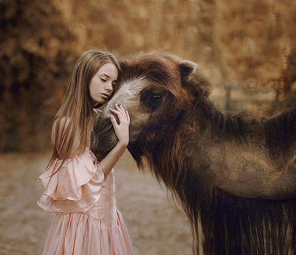 İnsanlar ve vahşi hayvanlar aynı karede!