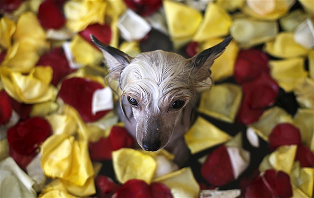 Nisan ayınının en güzel fotoğrafları