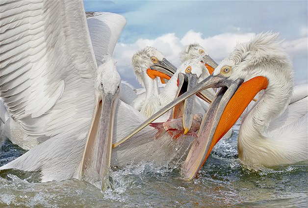 Nisan ayınının en güzel fotoğrafları