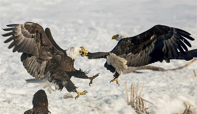 Nisan ayınının en güzel fotoğrafları