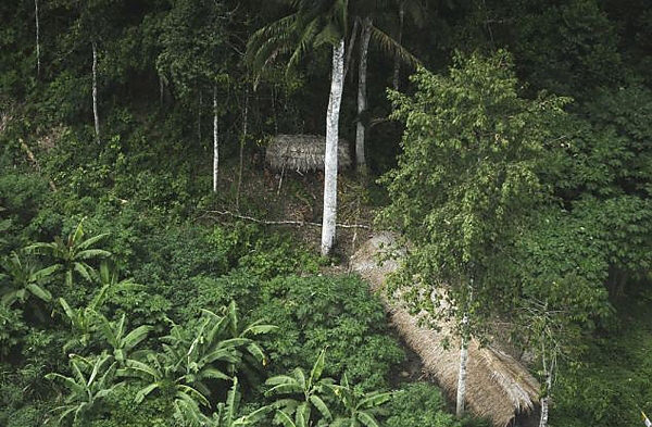 Balta girmemiş ormanlarda yerliler hala var