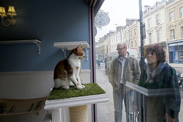 Nisan ayınının en güzel fotoğrafları